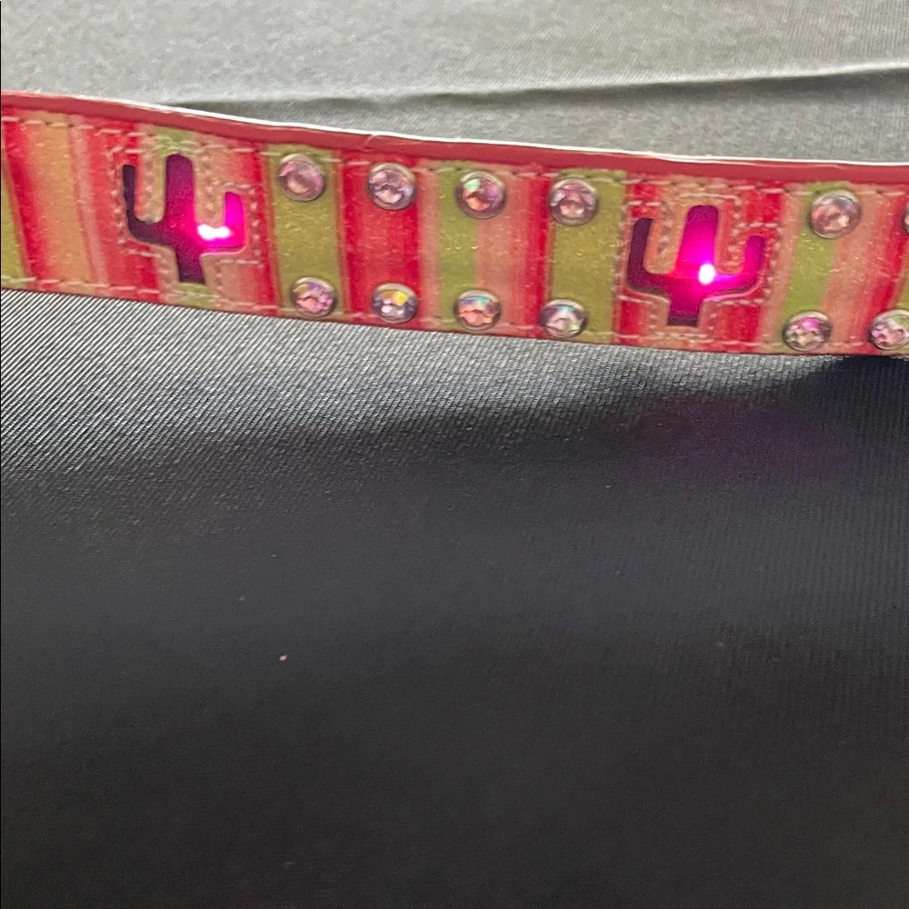 Blinking cactus Colorful Striped Belt with Rhinestone Buckle western